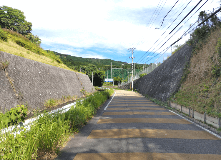 大城林道展望台道のり1